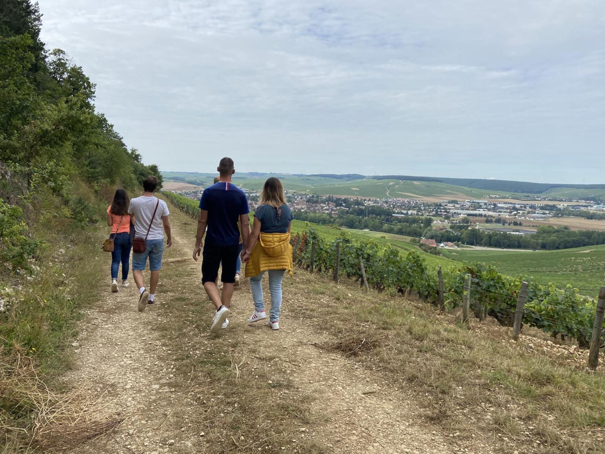 Les Suites Gueguen Chablis Zewnętrze zdjęcie