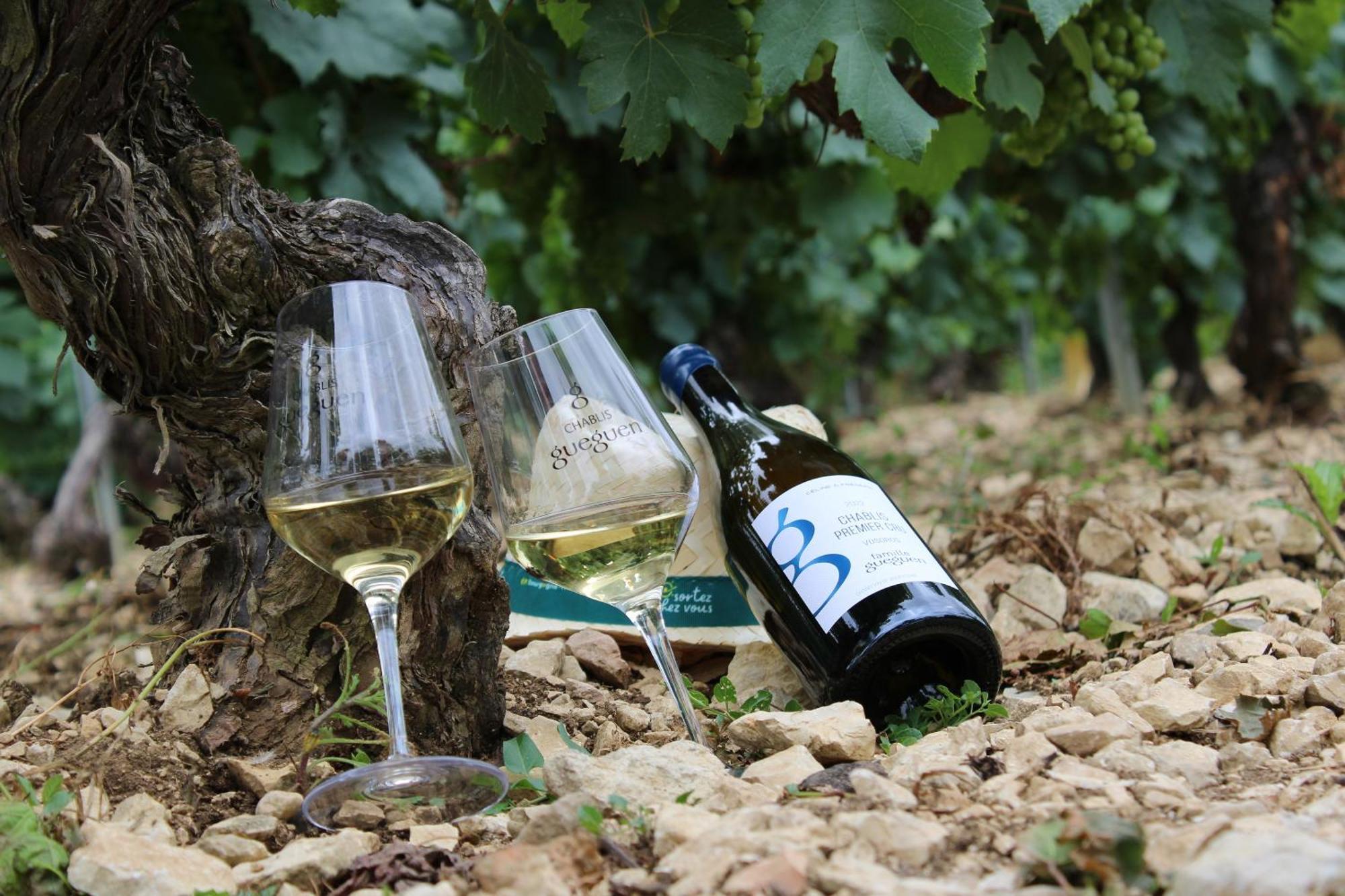 Les Suites Gueguen Chablis Zewnętrze zdjęcie