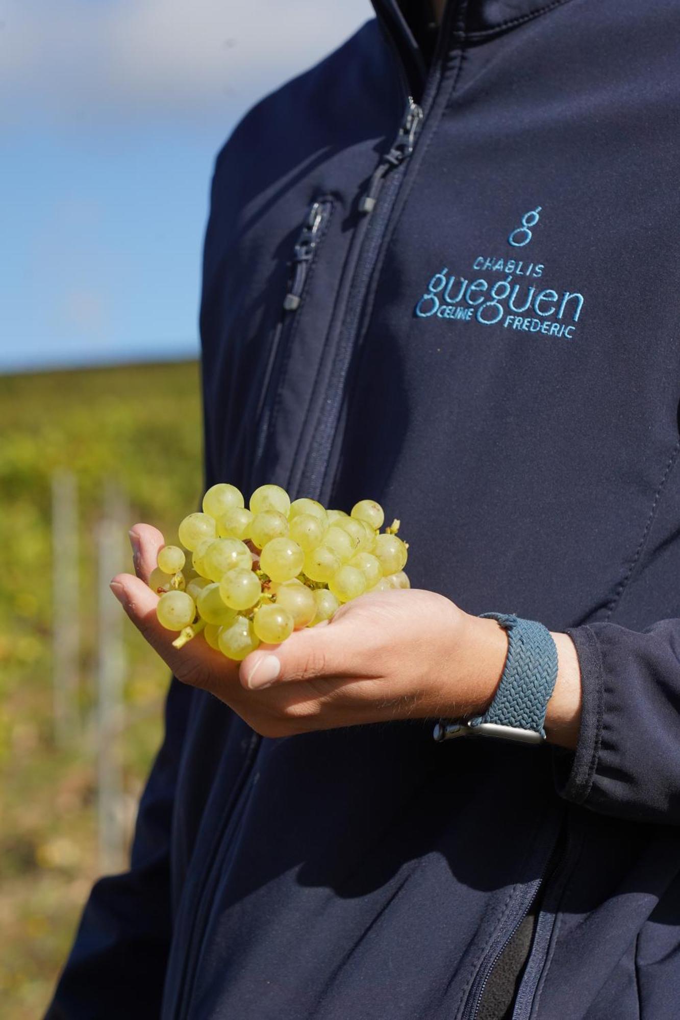 Les Suites Gueguen Chablis Zewnętrze zdjęcie