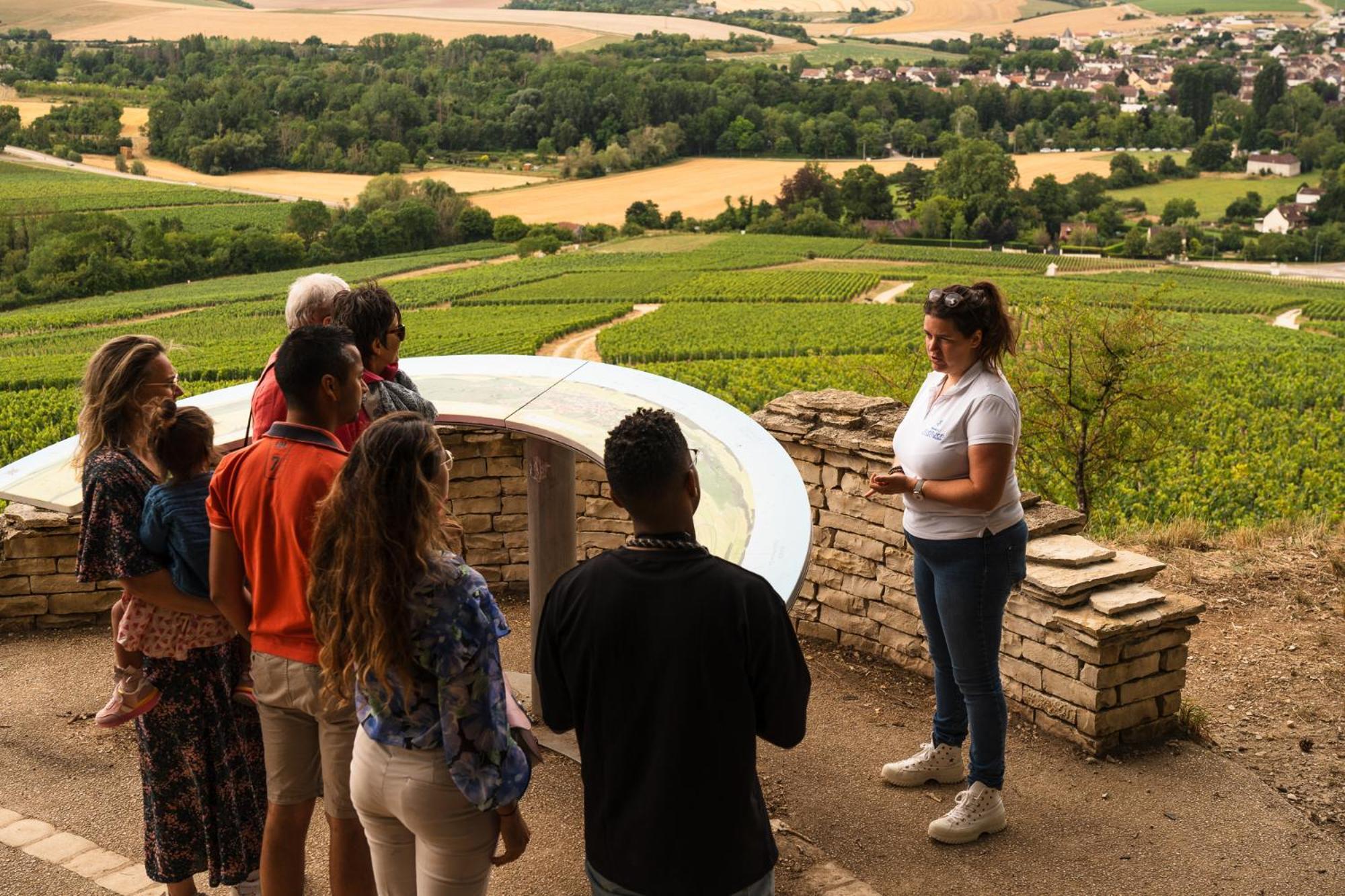 Les Suites Gueguen Chablis Zewnętrze zdjęcie